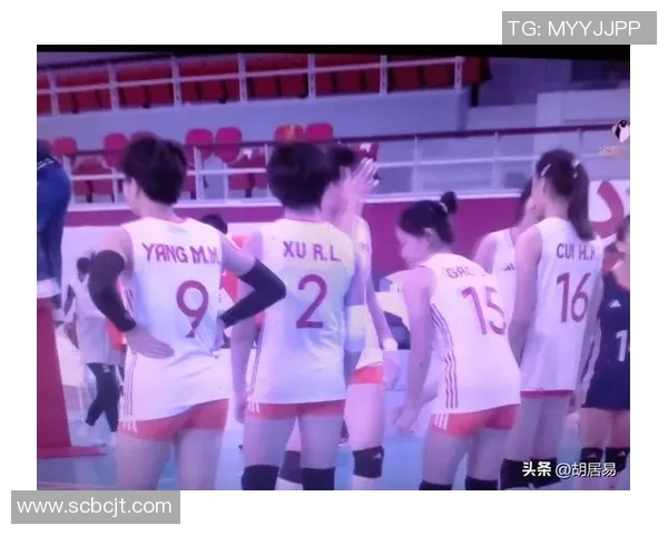 西安排球队实力引发热议球迷对排球战术与选手表现的不同看法