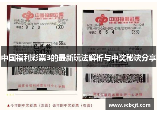 中国福利彩票3的最新玩法解析与中奖秘诀分享