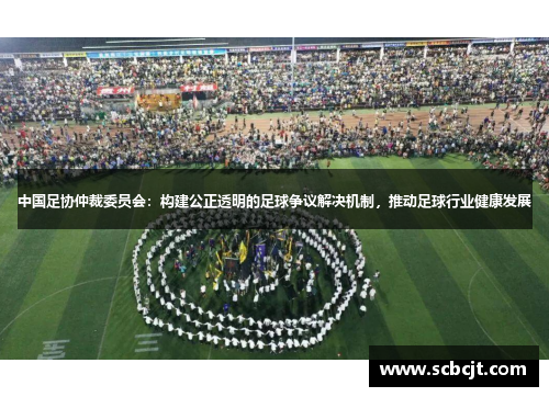 中国足协仲裁委员会：构建公正透明的足球争议解决机制，推动足球行业健康发展
